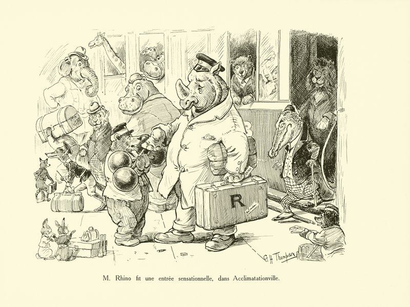 Herra Sarvikuono teki sensaatiomaisen sisääntulon Acclimatationvillessä (litografia). tekijältä George Henry Thompson