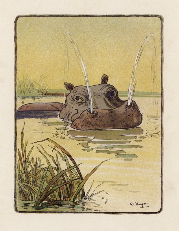 Hippopotamus (värilitro) tekijältä George Henry Thompson