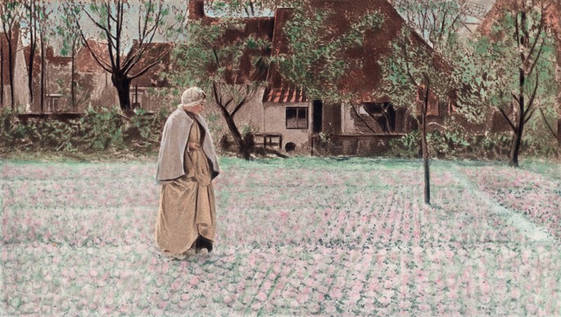 Tulppaanipuutarhuri (väripainopaino) tekijältä George Hitchcock