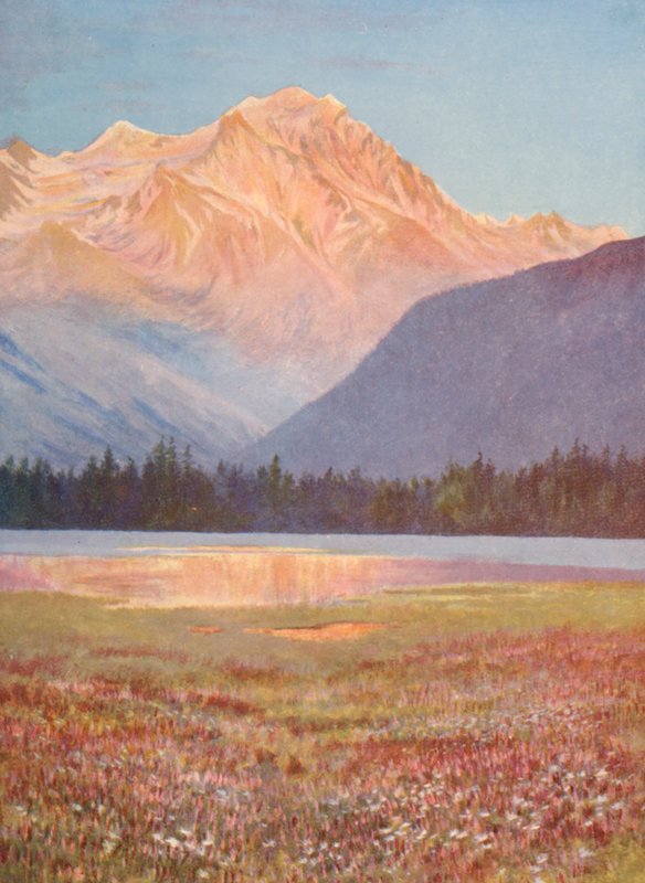 Ilta vaaleanpunaisen Bistortin peltojen keskellä Lac Champexin järvellä; auringonlaskun loiste Grand Combinilla, heinäkuu (värilitro). tekijältä George Jackson Flemwell