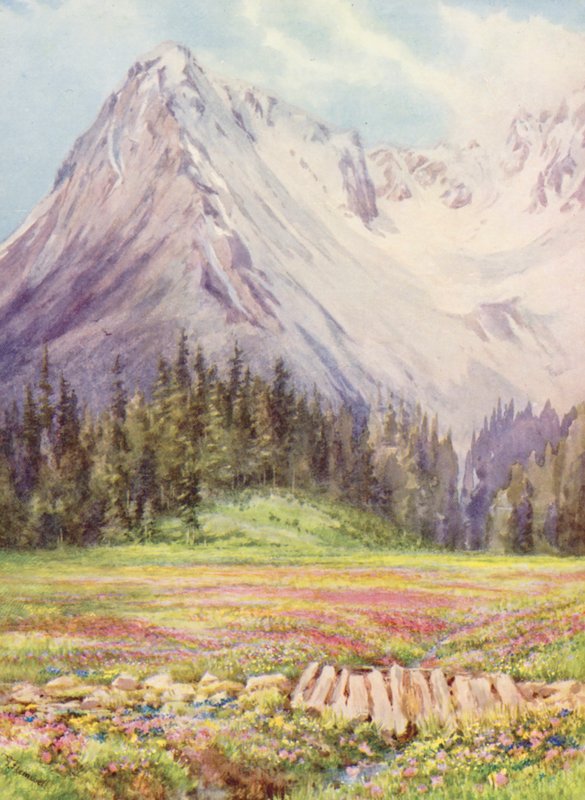 Gentiana verna ja Primula farinosa Champexin alavilla pelloilla toukokuun lopulla, taustalla osa Saleinazin massiivista (värilitro). tekijältä George Jackson Flemwell