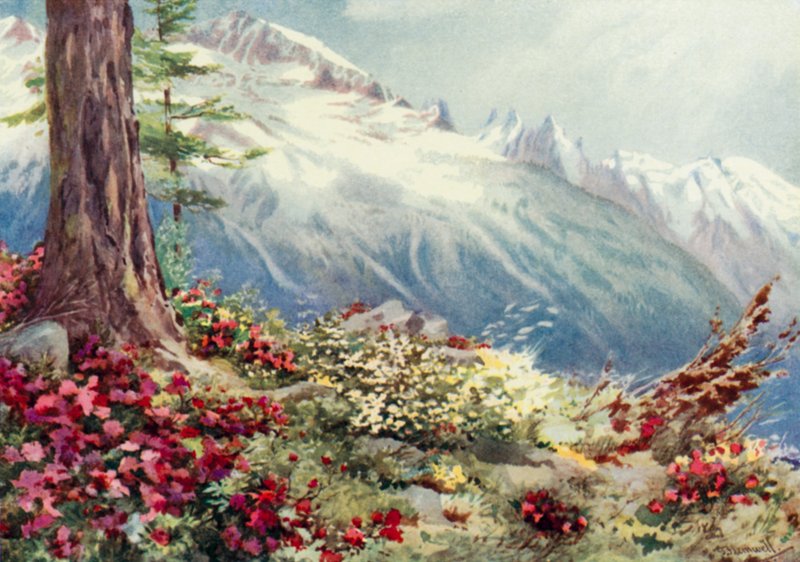 Mont Blanc ja Aiguille Du Midi ylhäältä katsottuna Argentiere (väri litho) tekijältä George Jackson Flemwell