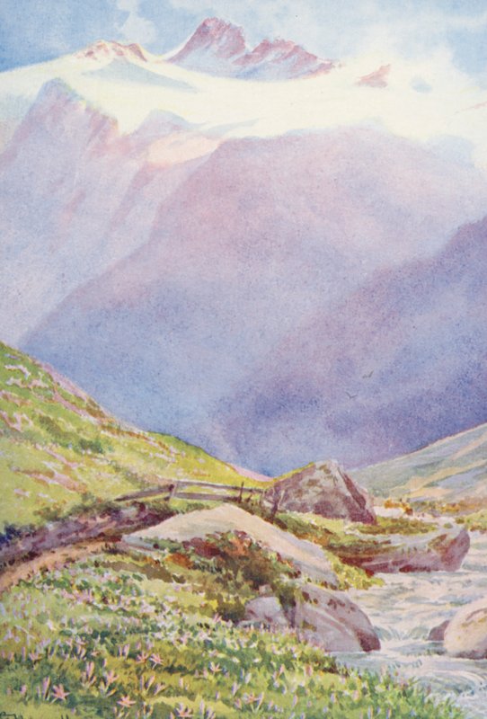 Syksyn krookukset pelloilla Trientin kylän lähellä, taustalla Aiguille du Tour, syyskuu (värilitro) tekijältä George Jackson Flemwell
