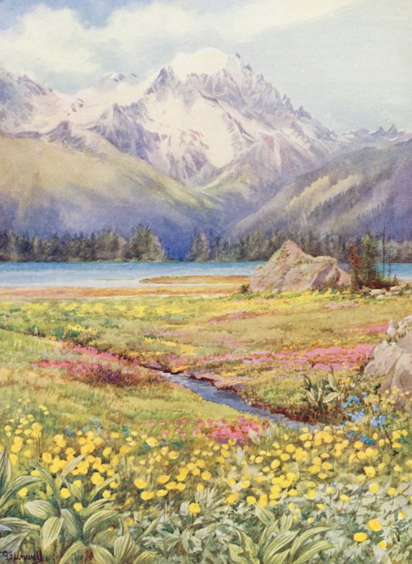 Champexin ylemmät pellot kesäkuun alussa, kaukana Grand Combin (värilitografia). tekijältä George Jackson Flemwell