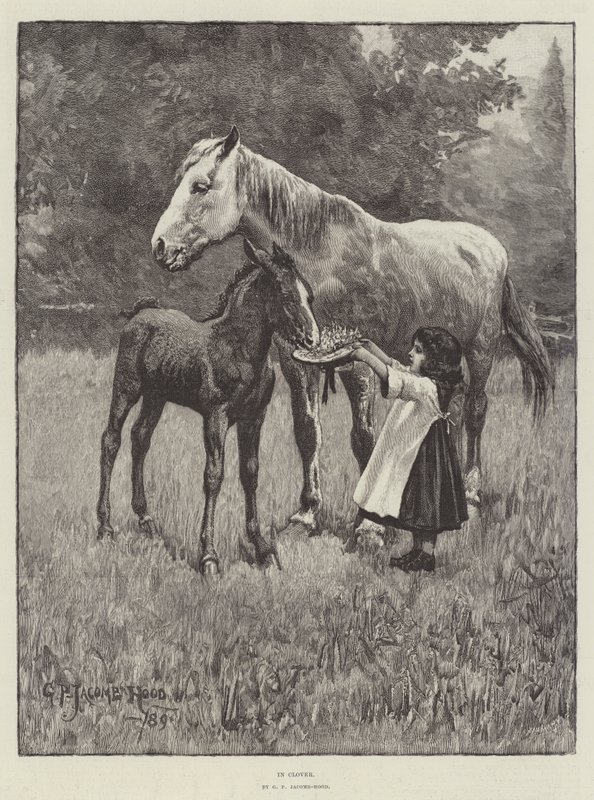 Kuin herran kukkarossa tekijältä George Percy Jacomb Hood