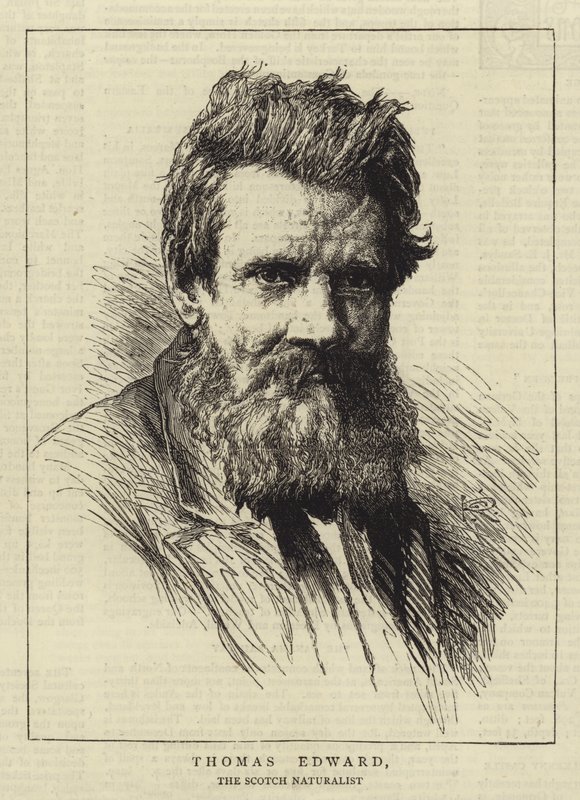 Thomas Edward tekijältä George Reid