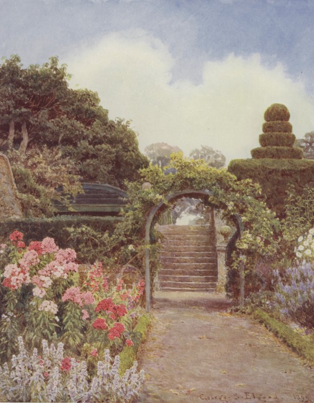 Crathes, Phlox tekijältä George Samuel Elgood