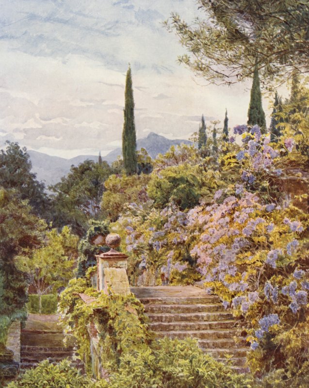 Italialaiset puutarhat: Wistaria, Villa Cavagnaro (värilitro) tekijältä George Samuel Elgood