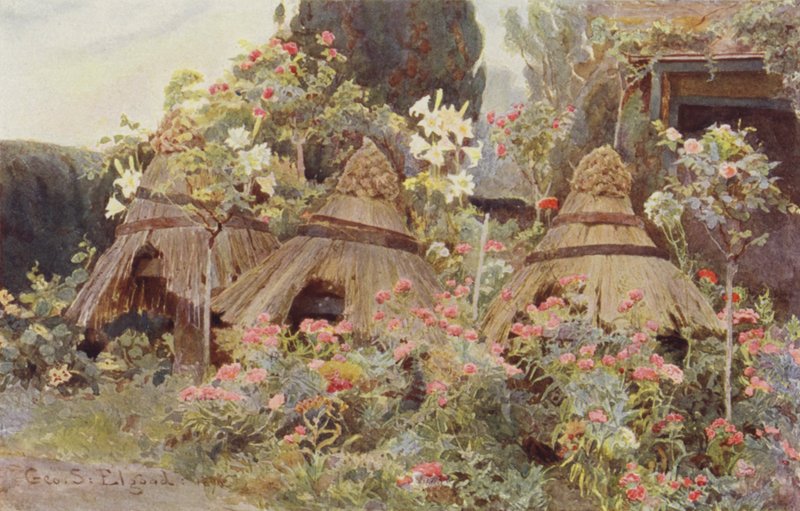 Lady Coventrys käsityö tekijältä George Samuel Elgood