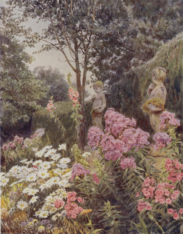 Phlox ja Daisy tekijältä George Samuel Elgood