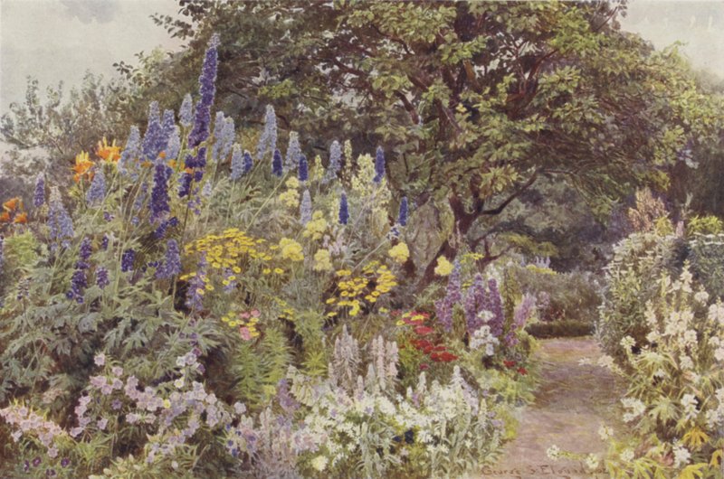 Ramscliffe, Larkspur tekijältä George Samuel Elgood