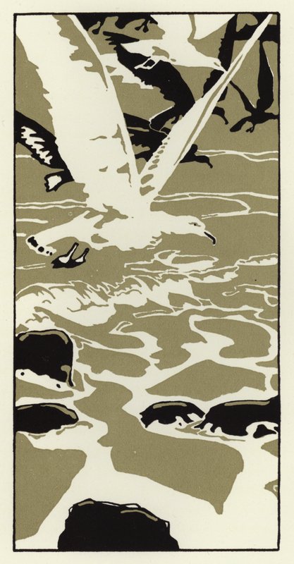 Rannalta tuli suuri valkoinen lokki (väri litho) tekijältä George Sheringham