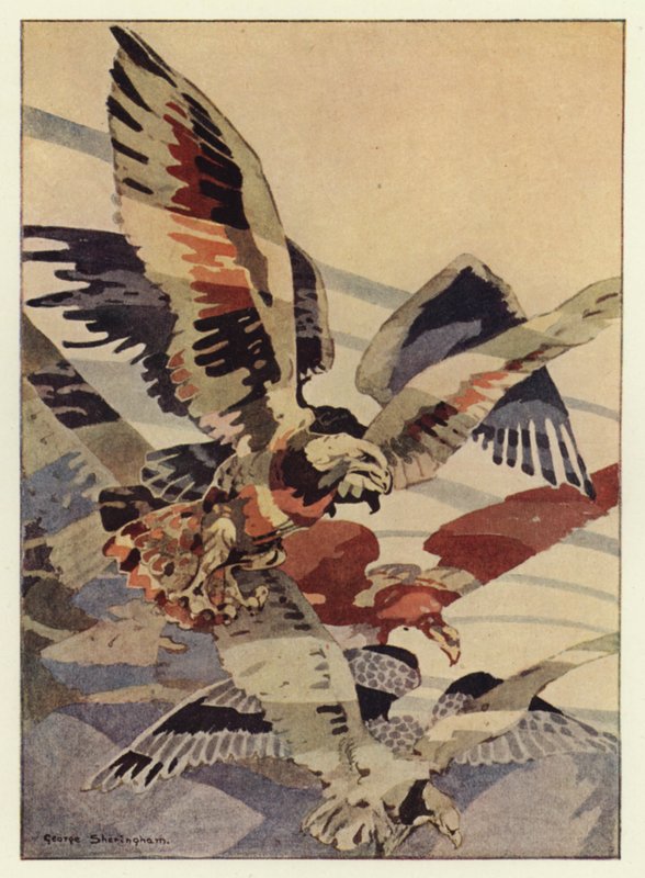 Suuri kotka teki tuulet hänelle (väri litho) tekijältä George Sheringham