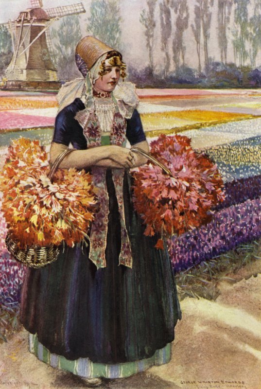 Tulppaanipelto (väri litho) tekijältä George Wharton Edwards
