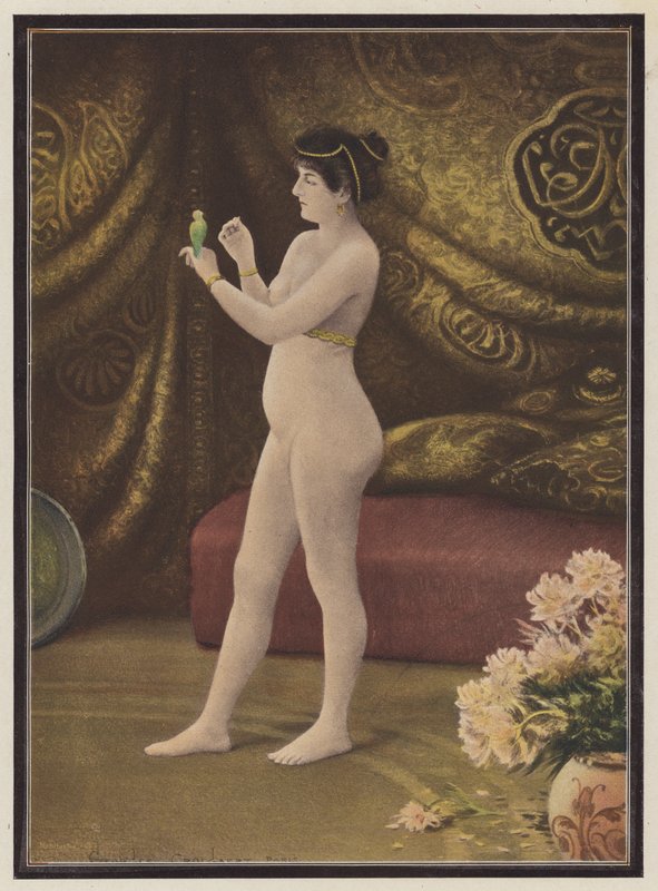 Suosikki, nainen lemmikkilintujen kanssa (väri litho) tekijältä Georges Croegaert
