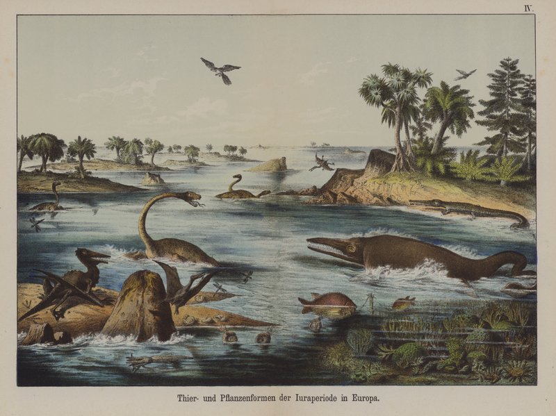 Jurassic-kauden eläimet ja kasvit Euroopassa (värilitho) tekijältä German School