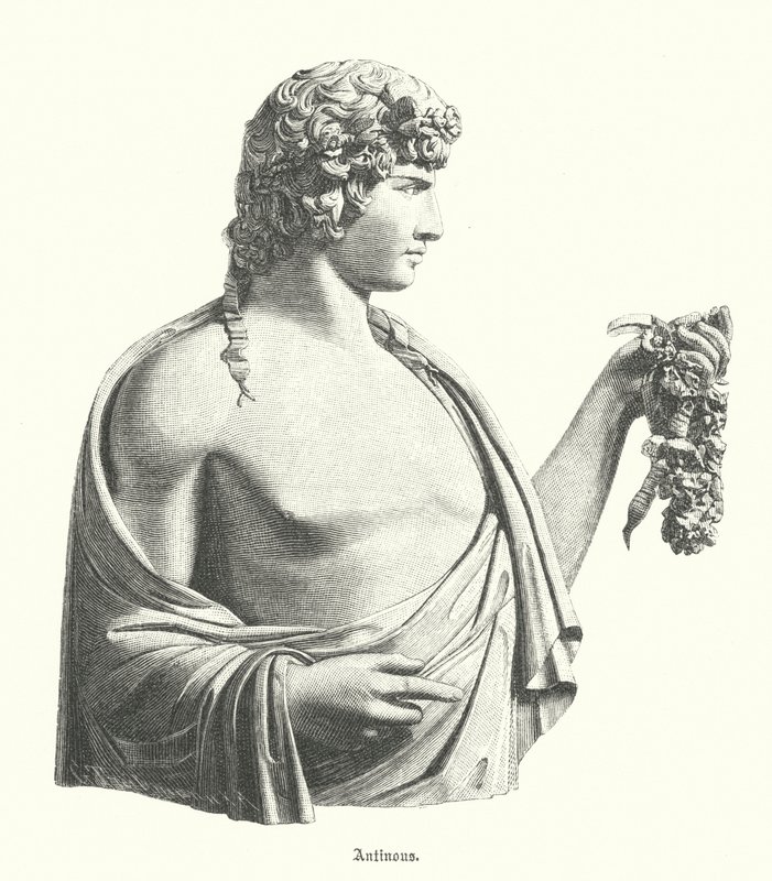 Antinous, kreikkalainen nuoriso ja Rooman keisari Hadrianuksen suosikki tai rakastaja (kaiverrus) tekijältä German School
