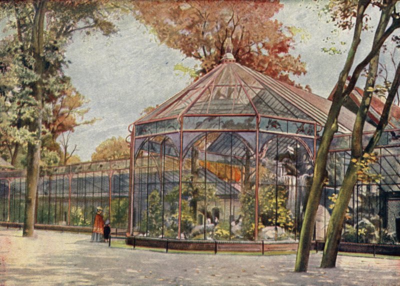 Aviary, Berliinin eläintieteellinen puutarha, Saksa (värilitho) tekijältä German School