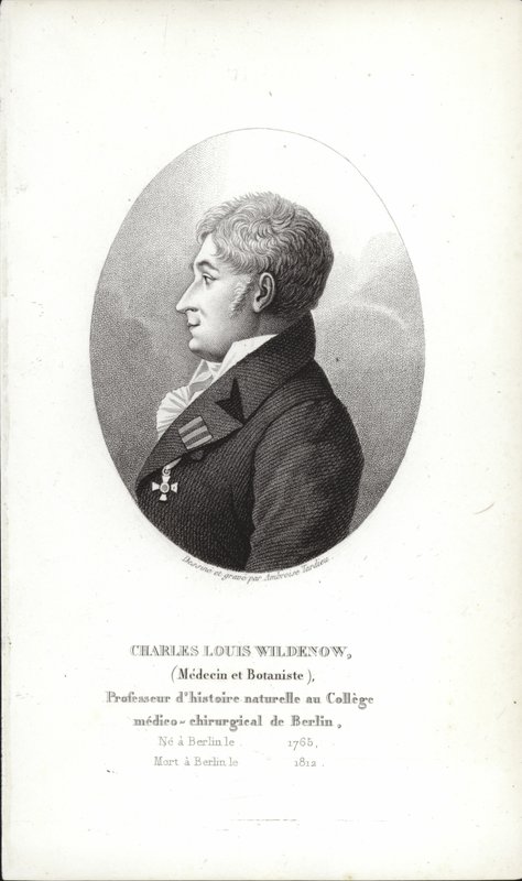 Charles Louis Wildenow tekijältä German School