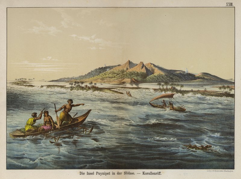 Koralliriutta Puynipet-saarella (Pohnpei), Caroline Islands (värikuva) tekijältä German School