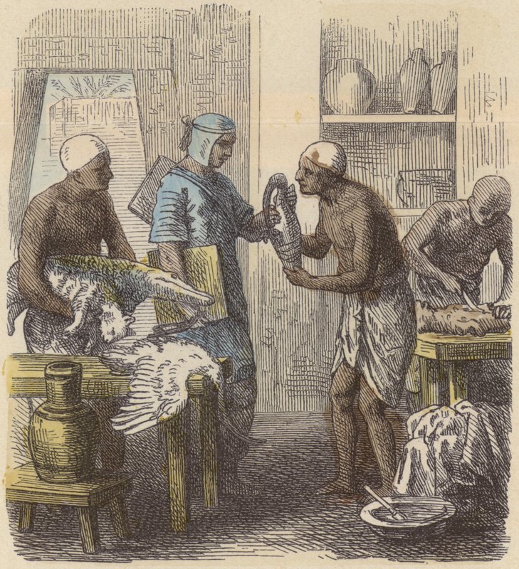 Eläinten balsamointi muinaisessa Egyptissä (värinen kaiverrus) tekijältä German School