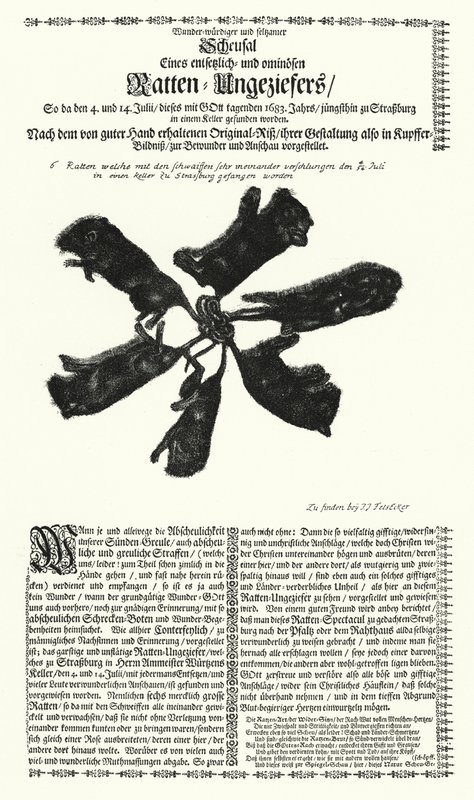 Jättiläiset rotat pyydetty Strasbourgissa vuonna 1683 (kaiverrus) tekijältä German School