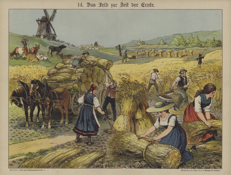 Sadonkorjuu (väri litho) tekijältä German School