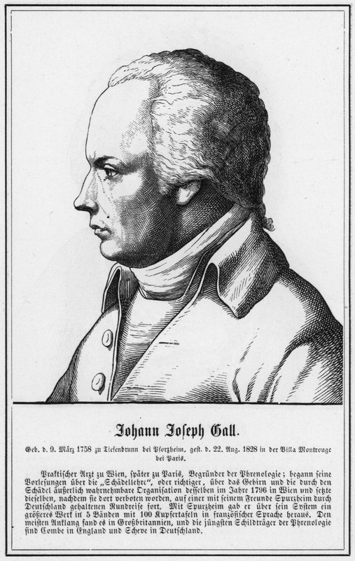 Johann Joseph Gall (kaiverrus) tekijältä German School