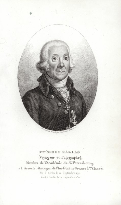 Peter Simon Pallas tekijältä German School