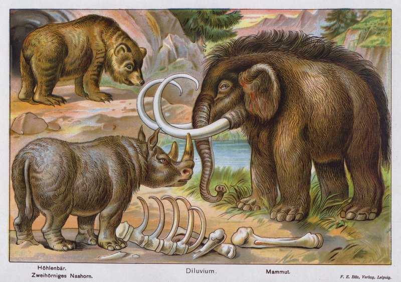 Esihistorialliset nisäkkäät (värilitro) tekijältä German School