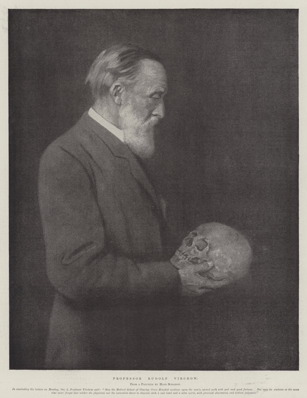 Professori Rudolf Virchow (litho) tekijältä German School