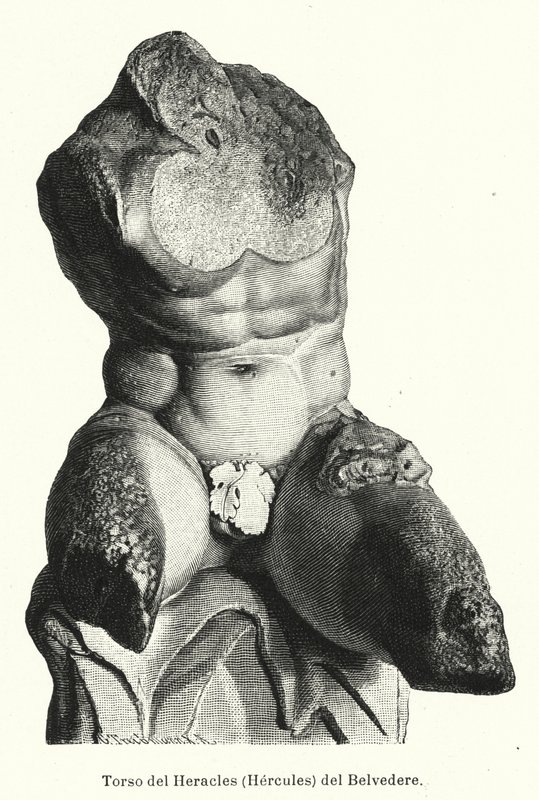 Belvederen torso, roomalainen veistos, jonka uskotaan perinteisesti edustavan Herkules (litho) tekijältä German School