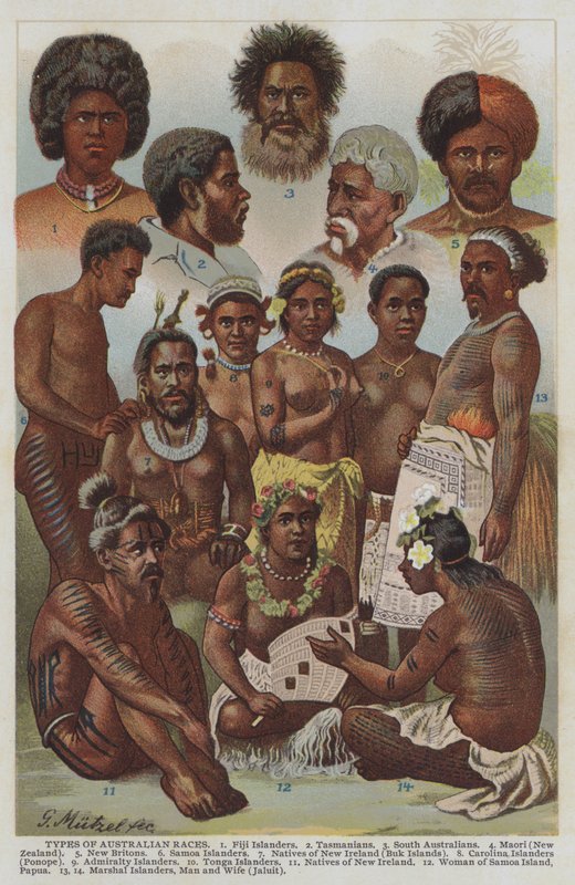 Australian rodun tyypit (värilitho) tekijältä German School
