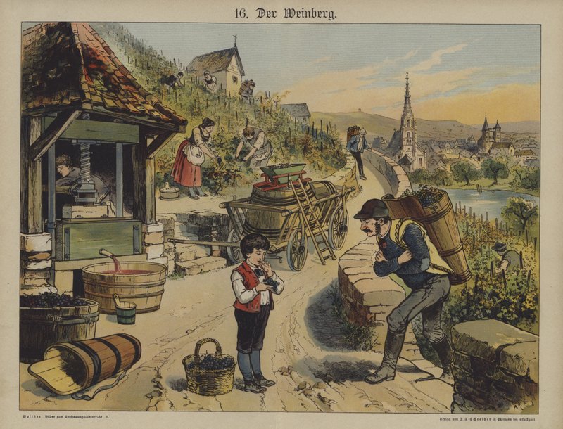 Viini (väri litho) tekijältä German School