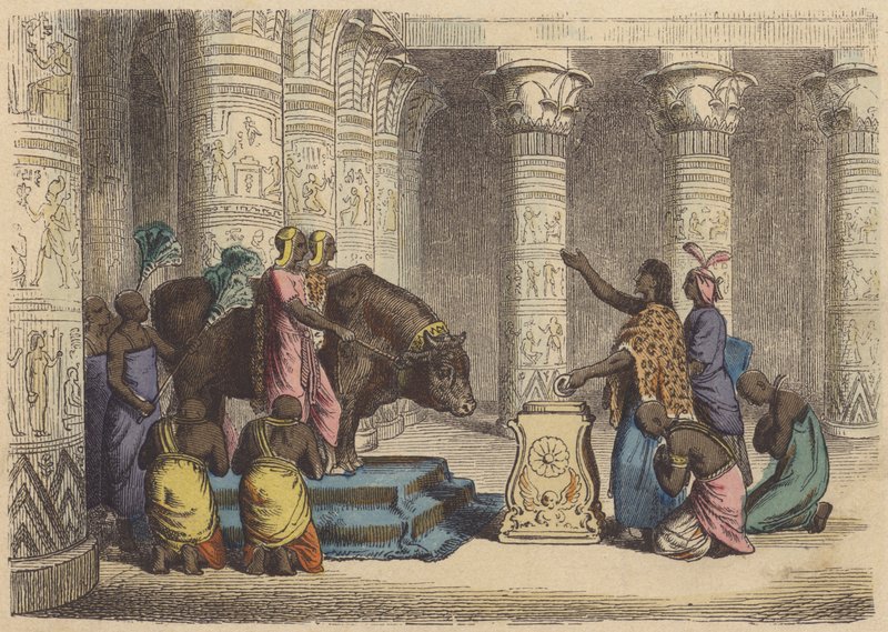 Apis-härän palvonta muinaisessa Egyptissä (värillinen kaiverrus) tekijältä German School