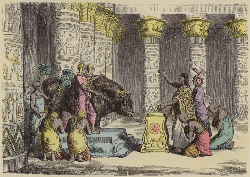 Apis-härän palvonta muinaisessa Egyptissä (värillinen kaiverrus) tekijältä German School