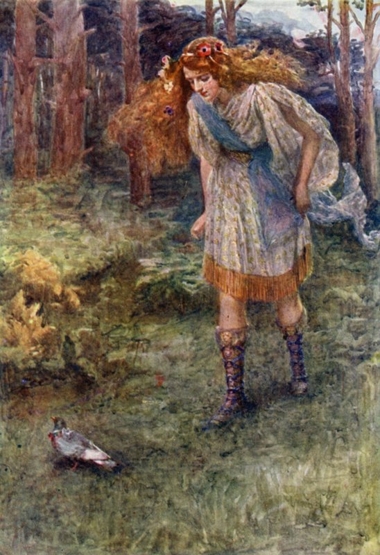 "Ja aina kun hän lähestyi, kyyhkynen lensi hieman eteenpäin" (väri litho) tekijältä Gertrude E. Demain (after) Hammond