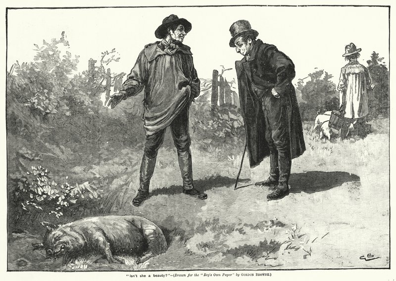 "Eikö hän ole kaunotar?" (kaiverrus) tekijältä Gordon Frederick (after) Browne