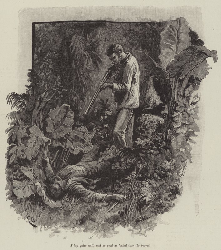 Uma eli Falesan ranta, kirjoittanut Robert Louis Stevenson tekijältä Gordon Frederick Browne