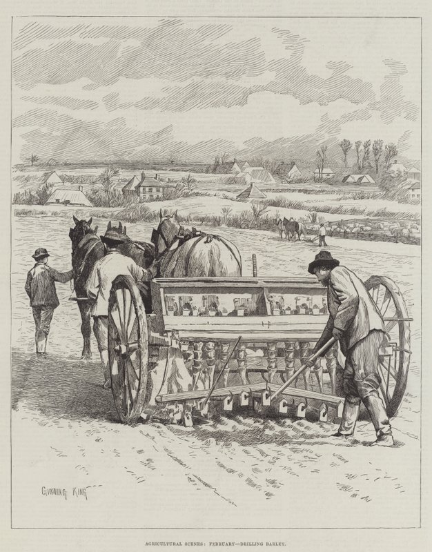 Agricultural Scenes, helmikuu, ohran kylvö tekijältä Gunning King