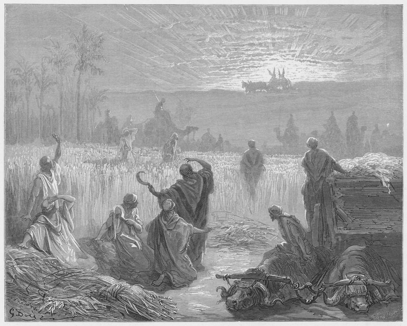 Gustave Dore Raamattu: Arkin paluu Bet-Semesiin tekijältä Gustave Dore