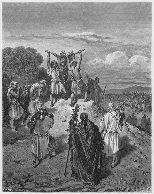 Gustave Dore Raamattu: Vakoilijoiden paluu lupausten maasta tekijältä Gustave Dore
