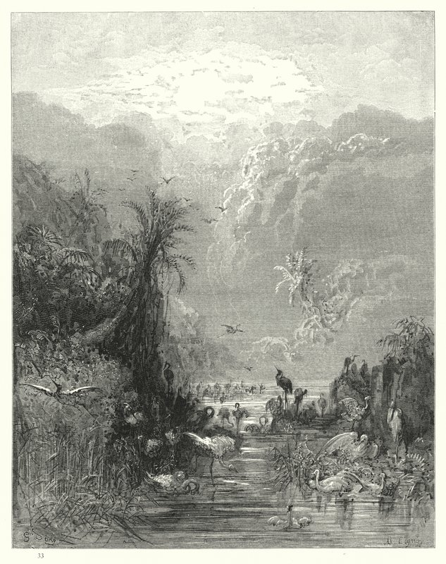 Gustave Doren kuvitus Miltons Paradise Lost -kirjalle VII, rivit 417, 418 tekijältä Gustave Dore