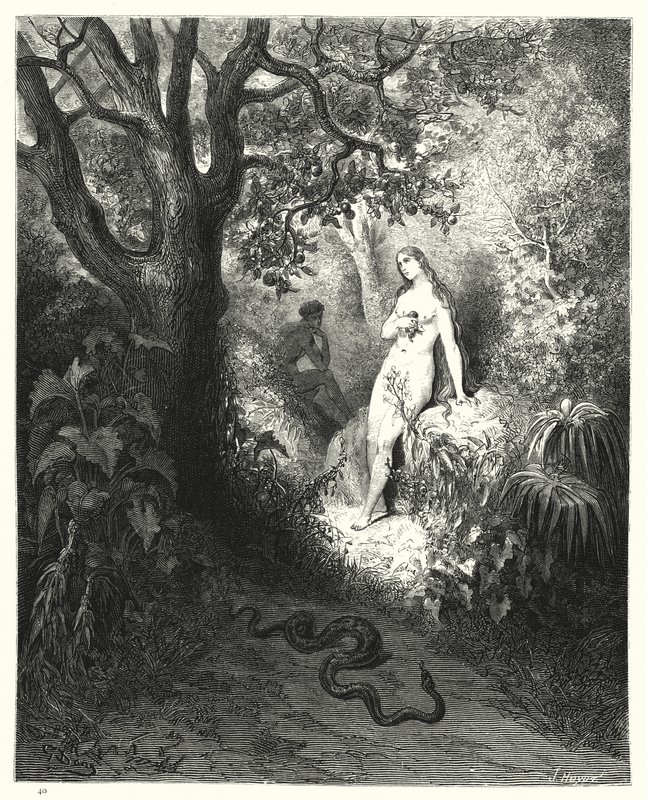 Gustave Doren kuvitus teokselle Miltons Paradise Lost, kirja IX, rivit 784, 785 tekijältä Gustave Dore