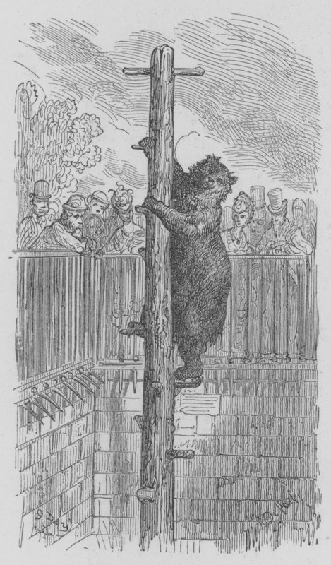 Regents Park, The Bear Pit tekijältä Gustave after Dore