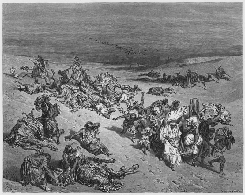 Gustave Dore Raamattu: Petojen murrain tekijältä Gustave Dore