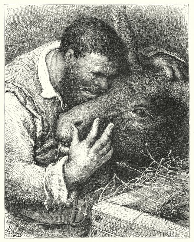 Gustave Doren Don Quijote: ""Tule tänne", hän sanoi, "ystäväni; sinä uskollinen kumppani ja osanottaja matkoillani ja kurjillani" (kaiverrus) tekijältä Gustave Dore