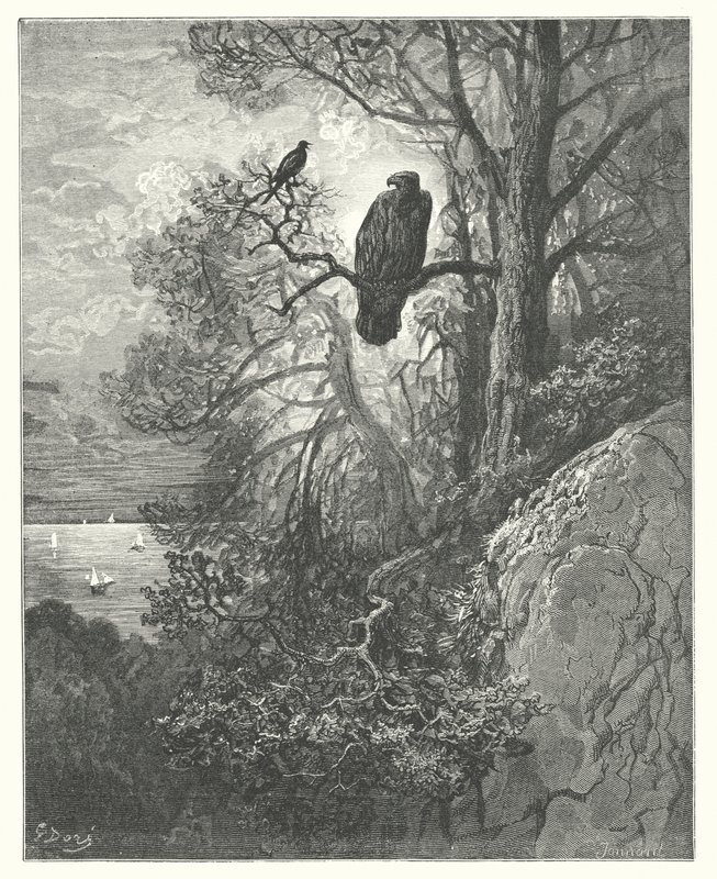 La Fontainen sadut: Fontaine: Kotka ja harakka (kaiverrus). tekijältä Gustave Dore