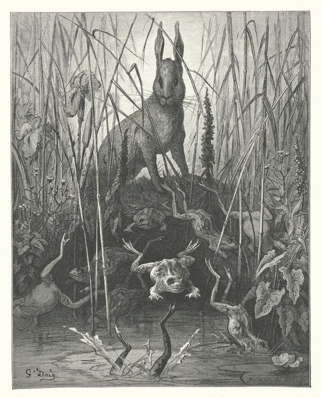 La Fontainen sadut: Fontaine: Jänis ja sammakot (kaiverrus). tekijältä Gustave Dore