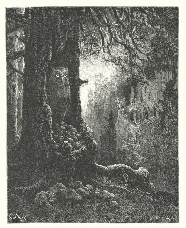 La Fontainen sadut: Fontaine: Pöllö ja hiiret (kaiverrus). tekijältä Gustave Dore